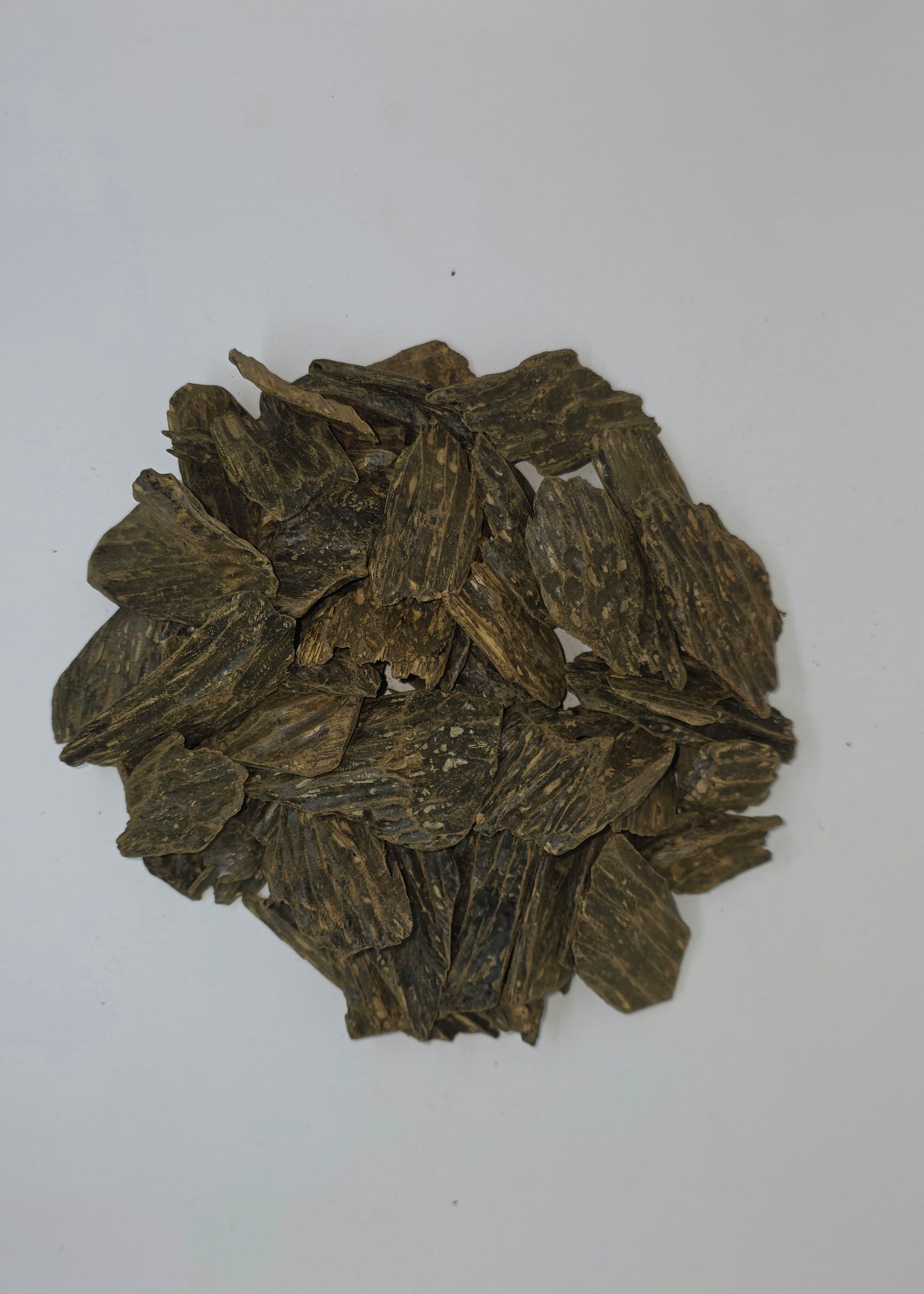 Enhanced Merauke Oud